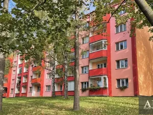 Pronájem bytu 2+1, Uherský Brod, Hlavní, 58 m2