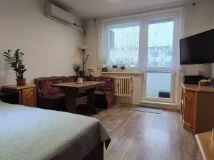 Prodej bytu 2+1, Brno, Ostružinová, 46 m2