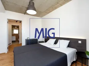 Pronájem bytu 2+kk, Brno, Cejl, 48 m2