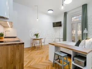 Pronájem bytu 1+kk, Praha - Holešovice, Šimáčkova, 33 m2