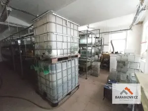 Prodej rodinného domu, Dvůr Králové nad Labem, 340 m2