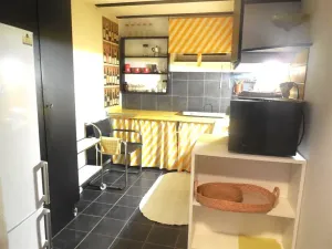 Pronájem bytu 1+1, Zlín, 44 m2