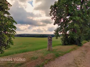Prodej louky, Vavřinec, 18480 m2