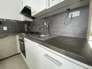 Pronájem bytu 1+1, Plzeň, Alešova, 50 m2