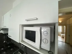 Pronájem bytu 1+1, Plzeň, Alešova, 50 m2