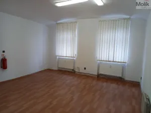 Pronájem skladu, Krupka - Bohosudov, Koněvova, 50 m2