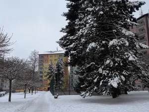 Prodej bytu 3+1, Aš, Dlouhá, 60 m2