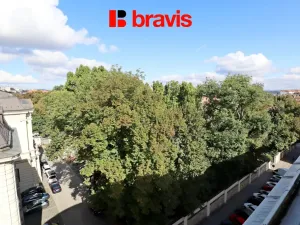 Pronájem bytu 2+kk, Brno - Veveří, 122 m2