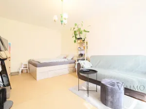 Pronájem bytu 1+1, České Budějovice - České Budějovice 2, V. Volfa, 41 m2