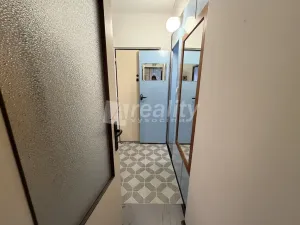 Prodej bytu 1+1, Jihlava, Březinova, 40 m2