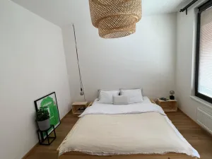 Pronájem bytu 2+kk, Praha - Vysočany, Sousedíkova, 48 m2
