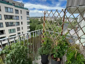 Pronájem bytu 2+kk, Praha - Vysočany, Sousedíkova, 48 m2