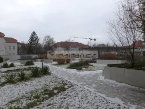 Pronájem bytu 2+kk, Plzeň - Jižní Předměstí, Stehlíkova, 67 m2