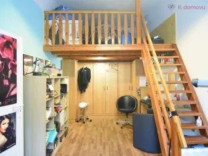 Prodej bytu 2+1, Brno - Staré Brno, Hybešova, 79 m2