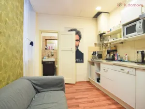 Prodej bytu 2+1, Brno - Staré Brno, Hybešova, 79 m2