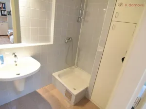 Pronájem bytu 2+kk, Brno - Staré Brno, Pekařská, 92 m2