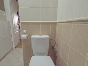 Pronájem bytu 3+1, Štětí, Družstevní, 80 m2