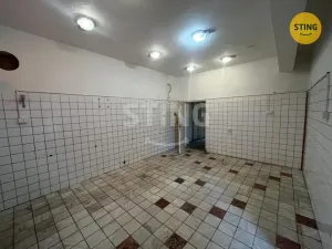 Pronájem skladu, Ostrava, Staroveská, 46 m2