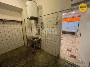 Pronájem skladu, Ostrava, Staroveská, 46 m2