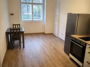 Pronájem bytu 1+1, Praha - Vinohrady, Písecká, 50 m2