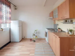 Prodej bytu 1+1, České Budějovice - České Budějovice 3, Plzeňská, 30 m2