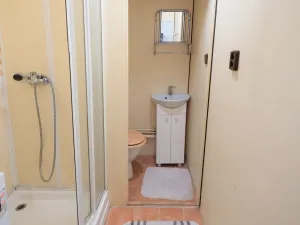 Prodej bytu 1+1, České Budějovice - České Budějovice 3, Plzeňská, 30 m2