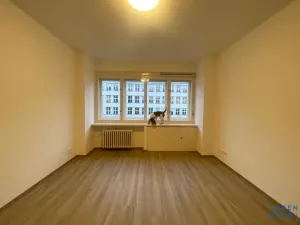 Pronájem bytu 1+kk, Praha - Nové Město, Plavecká, 22 m2