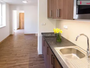 Prodej bytu 2+kk, Všemina, 45 m2