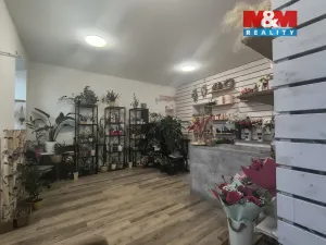 Pronájem obchodního prostoru, Brno - Židenice, Životského, 36 m2