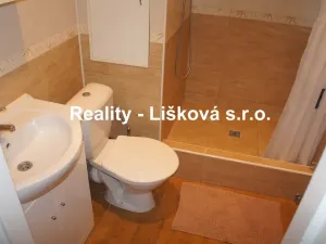 Pronájem bytu 1+1, Ústí nad Labem - Střekov, Tolstého, 36 m2