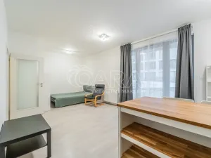 Pronájem bytu 1+kk, Praha - Karlín, U Mlýnského kanálu, 36 m2