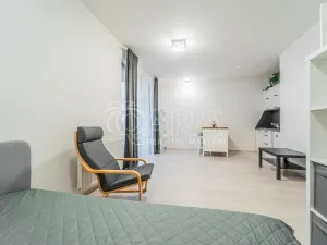 Pronájem bytu 1+kk, Praha - Karlín, U Mlýnského kanálu, 36 m2