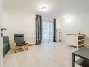 Pronájem bytu 1+kk, Praha - Karlín, U Mlýnského kanálu, 36 m2