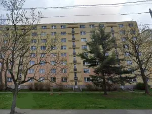 Pronájem bytu 1+kk, Plzeň - Doubravka, Na Dlouhých, 25 m2