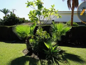 Prodej vily, Estepona, Španělsko, 220 m2