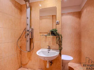 Prodej bytu 1+1, Ostrava - Moravská Ostrava, Šalamounská, 37 m2