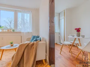 Prodej bytu 1+1, Ostrava - Moravská Ostrava, Šalamounská, 32 m2