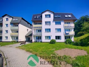 Pronájem bytu 1+1, Planá, Bohušova, 55 m2