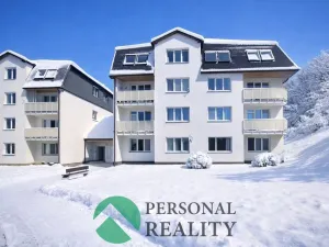 Pronájem bytu 1+1, Planá, Bohušova, 55 m2