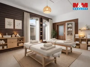 Prodej obchodního prostoru, Studenec, 801 m2