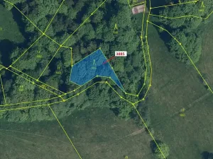 Dražba lesa, Semily, 561 m2