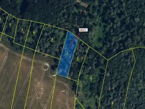 Dražba lesa, Přemyslovice, 1381 m2