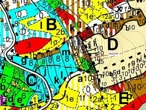 Dražba lesa, Spešov, 1009 m2