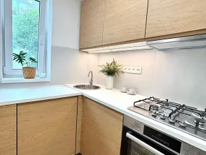 Pronájem bytu 3+1, Meziboří, Hornická, 62 m2