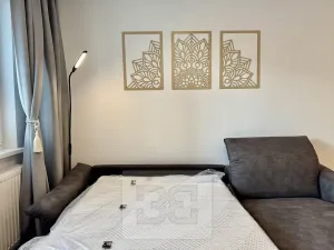 Pronájem bytu 1+kk, Zlín, Ševcovská, 30 m2