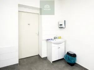 Pronájem - jiné, Plzeň, náměstí T. G. Masaryka, 40 m2