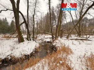 Prodej rybníku, Dolní Hořice - Pořín, 8552 m2