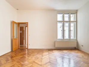 Pronájem bytu 2+kk, Brno - Brno-město, Panská, 70 m2