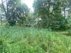 Prodej pozemku, Březová, 1993 m2