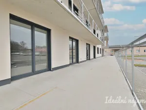 Pronájem bytu 2+kk, Dobřany, Dragounů, 60 m2